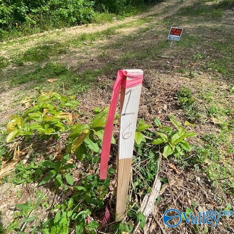 Image for 4070 Highway 273 Unit 16, Leesburg, AL 35983