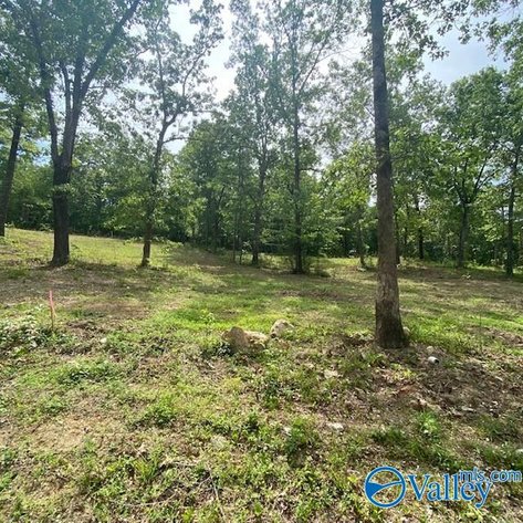 Image for 4070 Highway 273 Unit 16, Leesburg, AL 35983