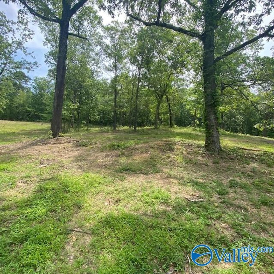 Image for 4070 Highway 273 Unit 16, Leesburg, AL 35983