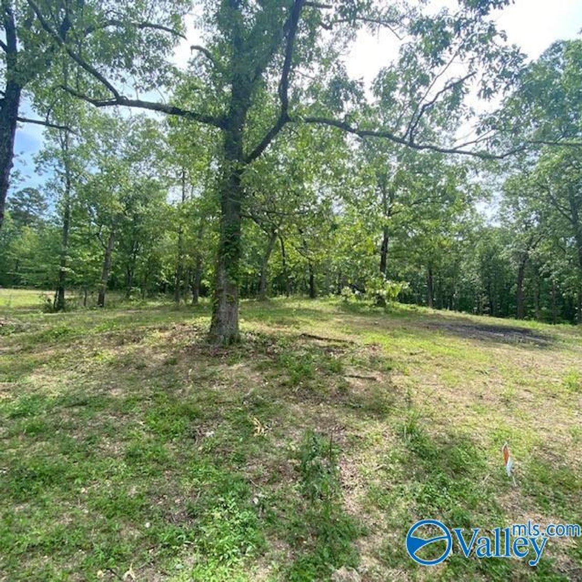 Image for 4070 Highway 273 Unit 16, Leesburg, AL 35983