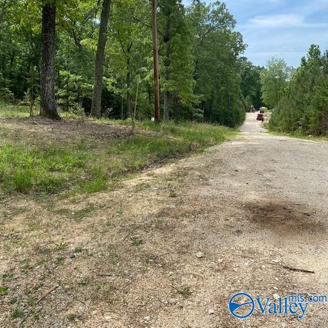 Image for 4070 Highway 273, Unit 14 Leesburg, AL 35983