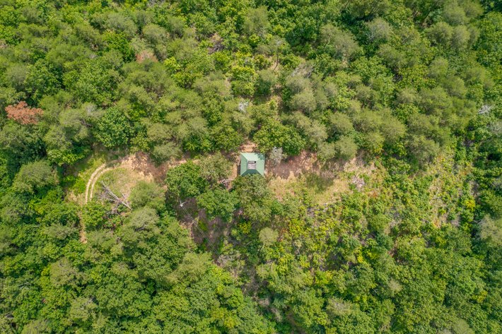 Image for 34 +/- acres on County Road 97 Gaylesville, Alabama