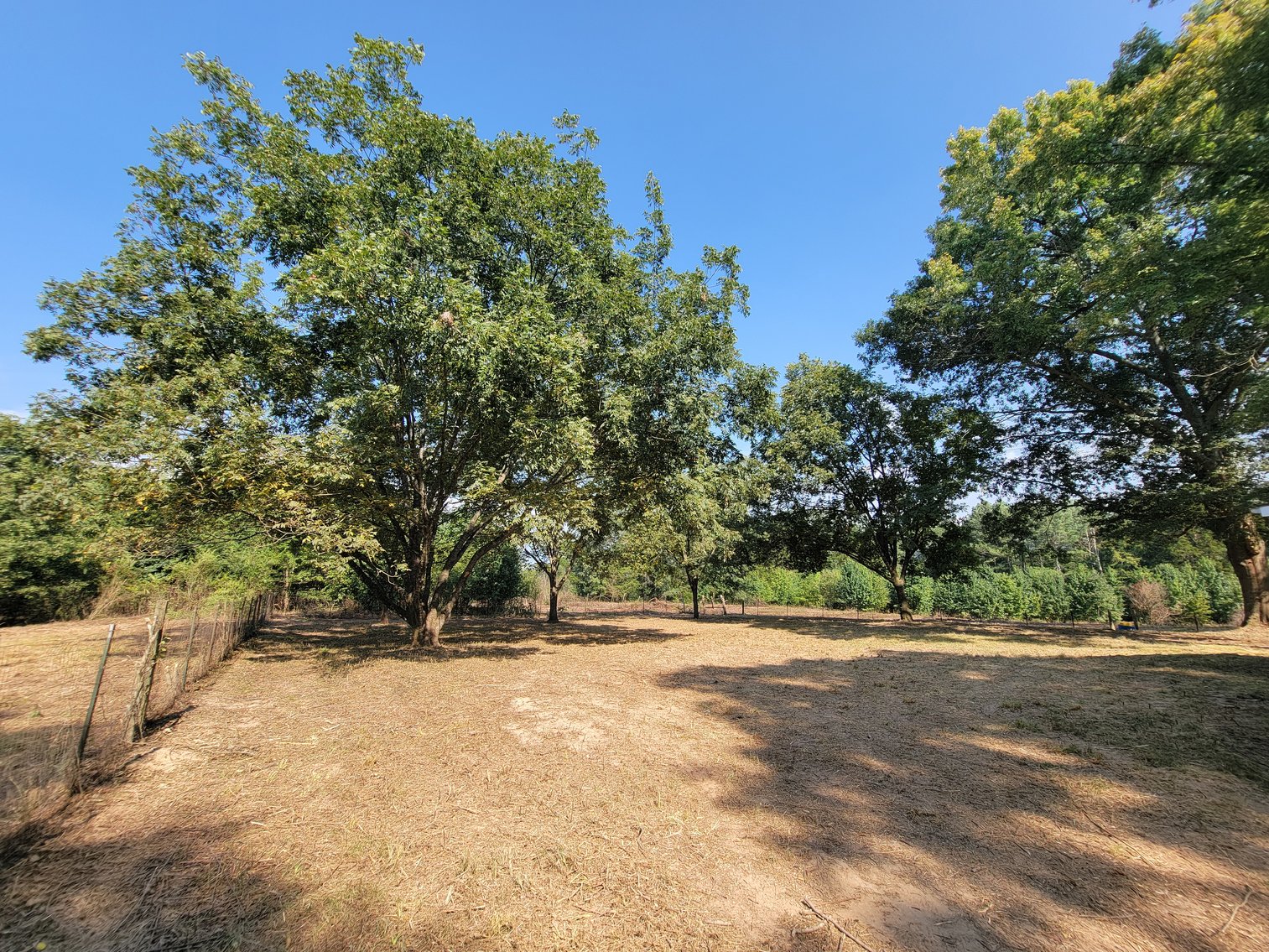 Image for Home with Outbuildings on 9 +/- Acres in Hollywood, Alabama SEPTEMBER 21st 10 AM (CT)