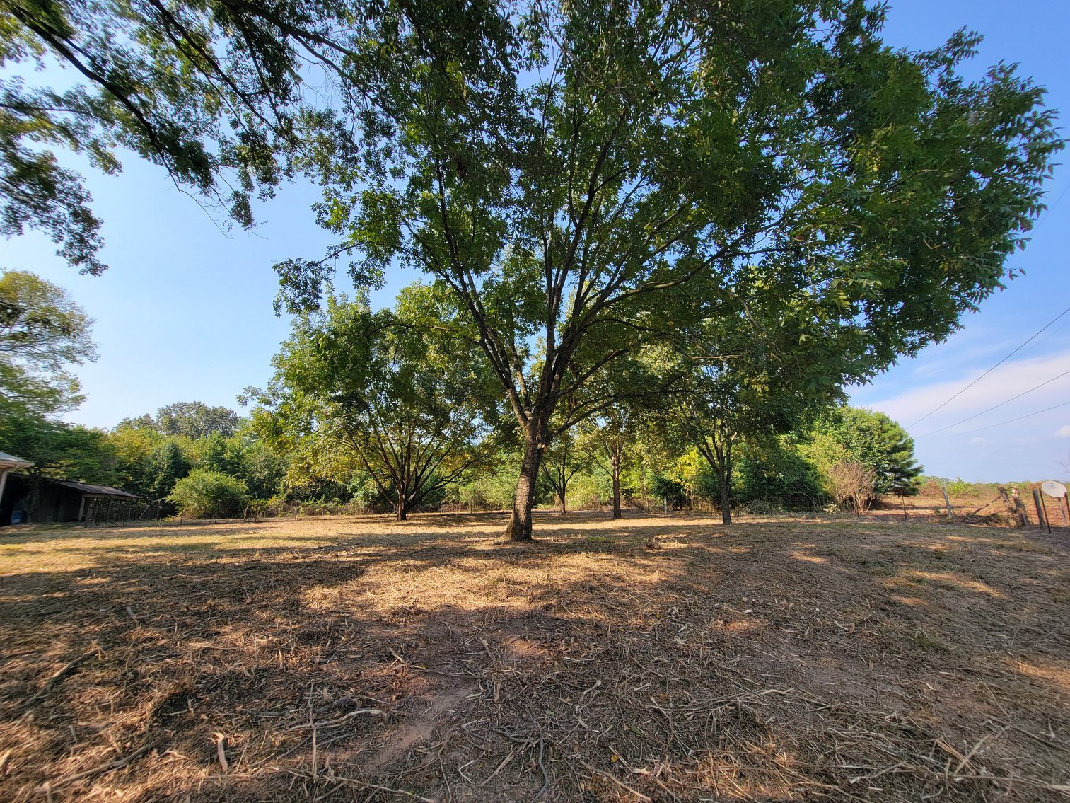 Image for Home with Outbuildings on 9 +/- Acres in Hollywood, Alabama SEPTEMBER 21st 10 AM (CT)