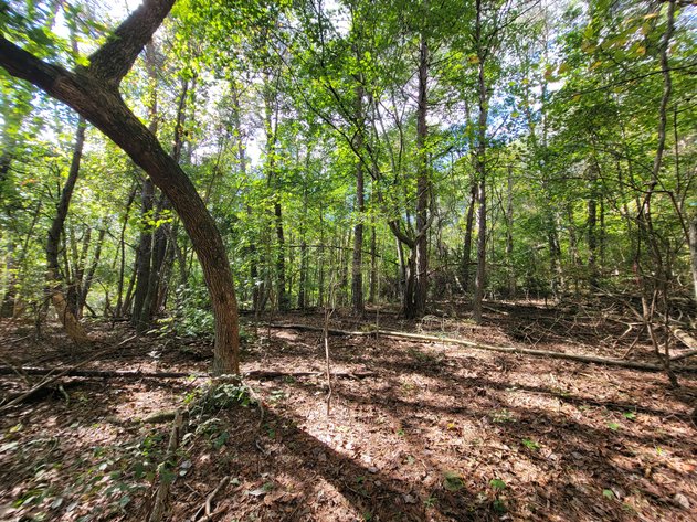 Image for COUNTY ROAD 275 Fort Payne, AL