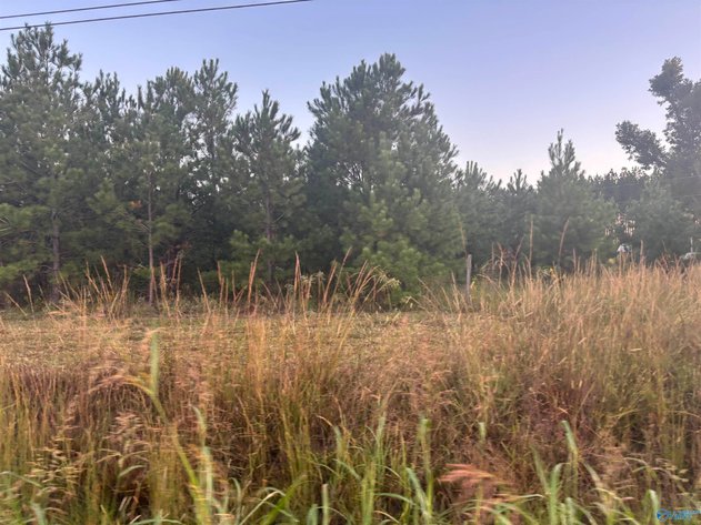 Image for 9405 US HIGHWAY 411 N Centre, AL