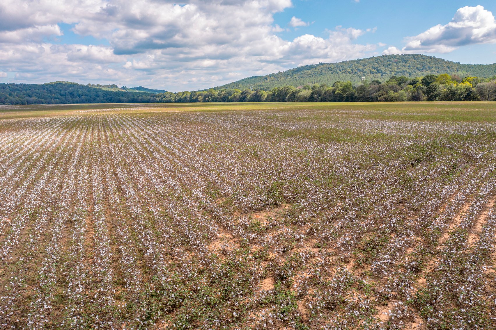 Image for THE RETREAT ON TERRAPIN CREEK 06.06.26