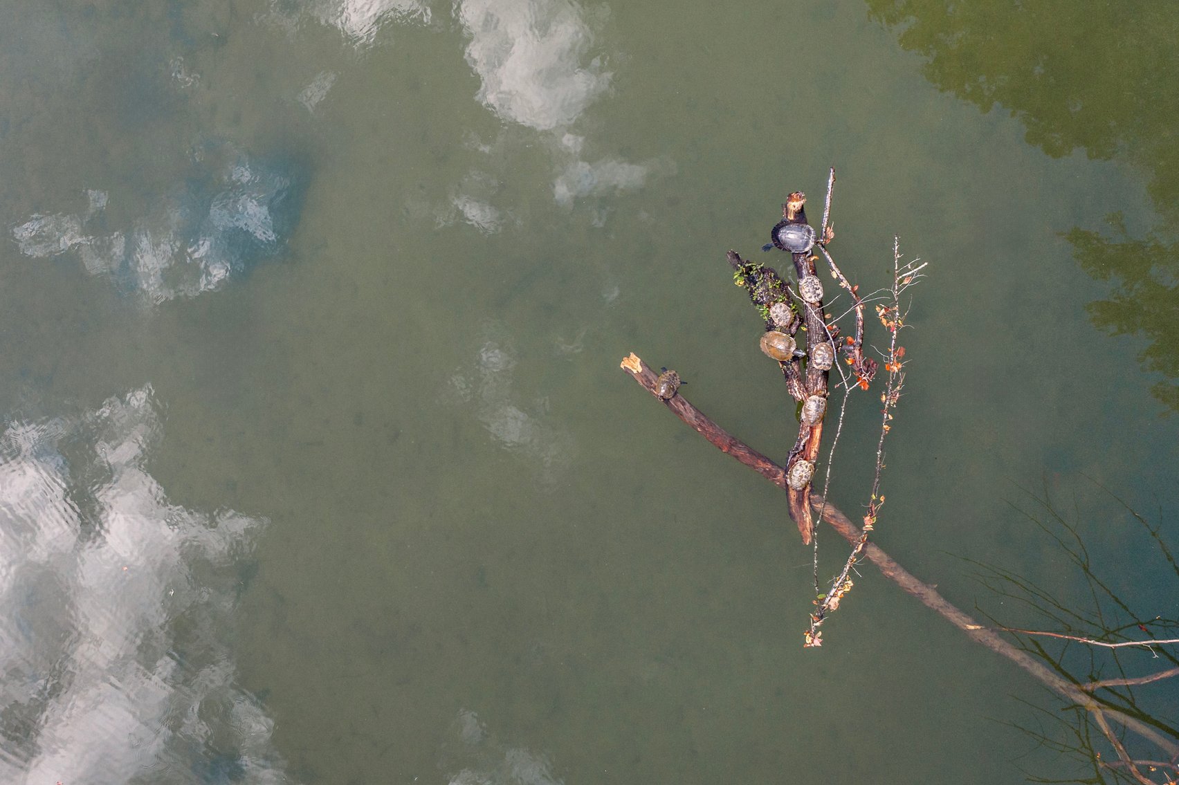 Image for THE RETREAT ON TERRAPIN CREEK 06.06.26