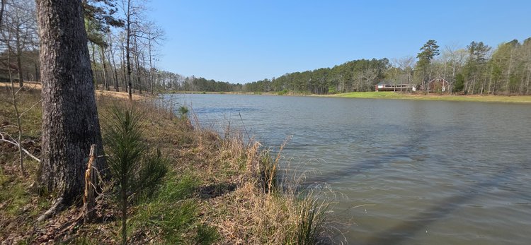 Image for Lot 38 Raintree Subdivision Centre, AL