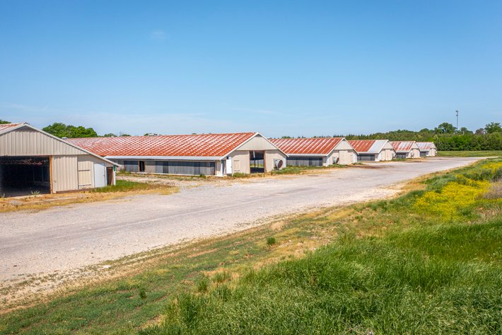 Image for 5 Bedroom, 2 Bath Home on 2 +/- AC plus (16) 40' x 500' Chicken Houses to be Disassembled 05.23.26