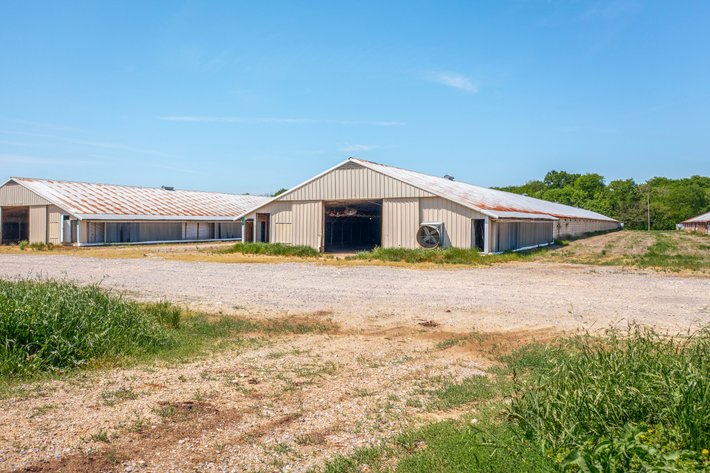 Image for 5 Bedroom, 2 Bath Home on 2 +/- AC plus (16) 40' x 500' Chicken Houses to be Disassembled 05.23.26