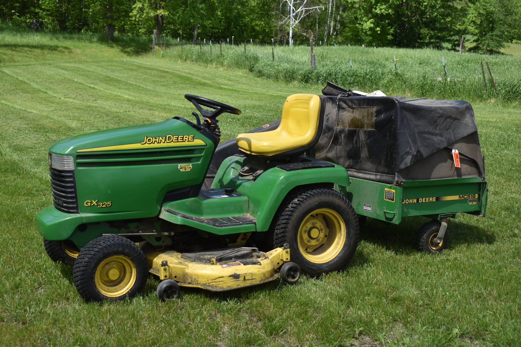 Moving Auction: Lawn & Garden, Farmall M, Tools, & Household