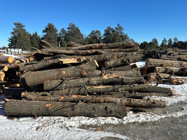 Image for Fire Wood and Lumber Logs (156023)