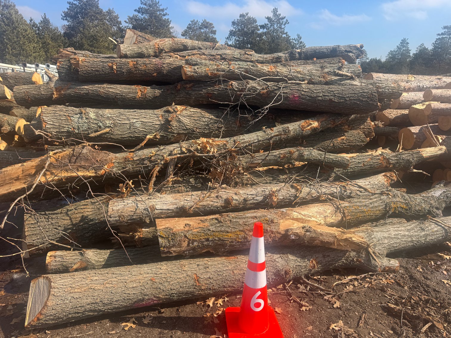 Fire Wood and Lumber Logs (158003)