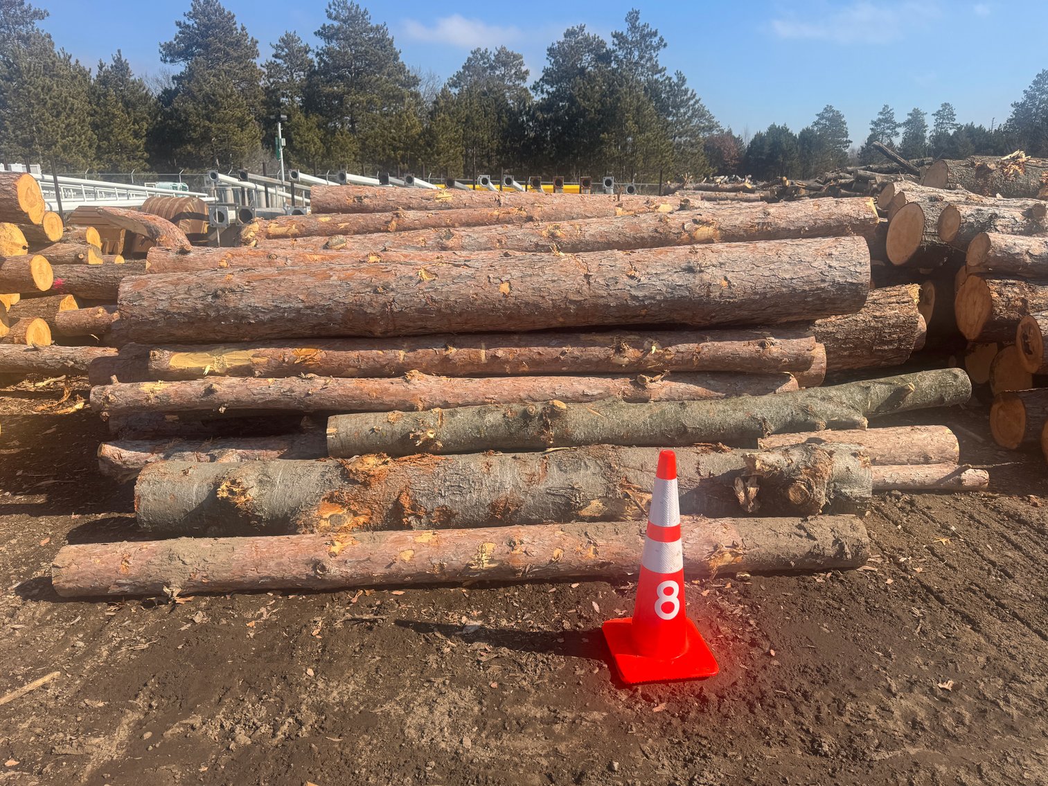 Fire Wood and Lumber Logs (158003)