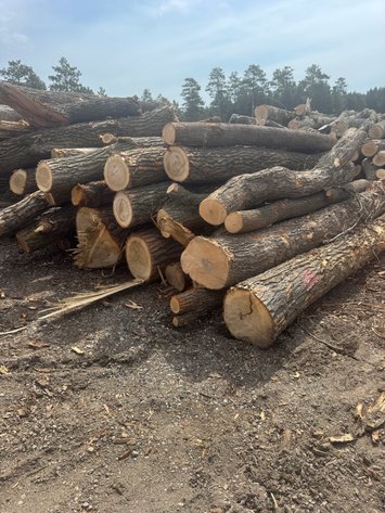 Image for Fire Wood and Lumber Logs (159543)