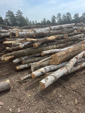 Image for Fire Wood and Lumber Logs (159543)