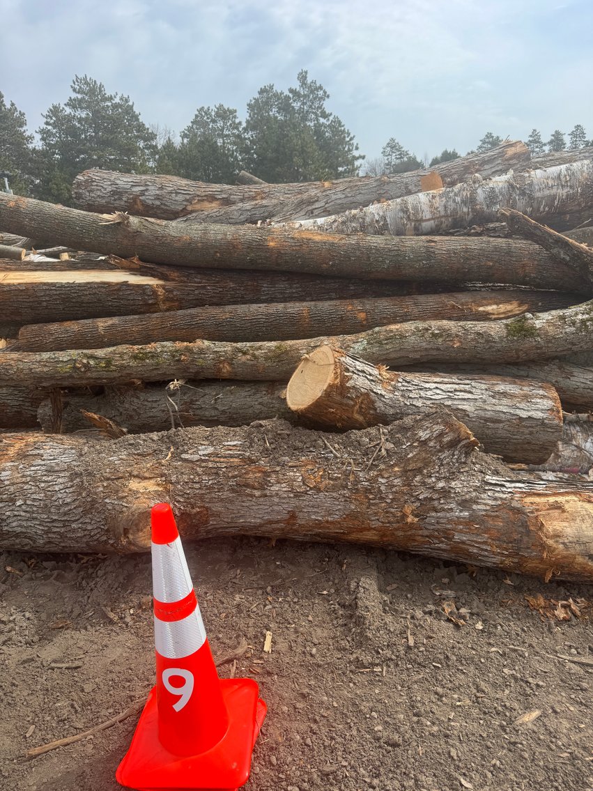 Fire Wood and Lumber Logs (159543)