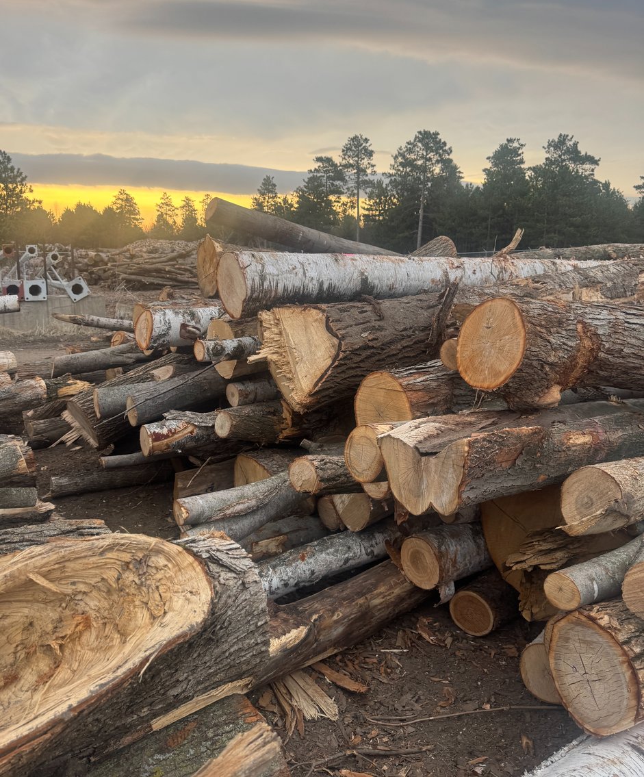 Fire Wood and Lumber Logs (160824)