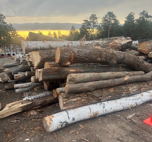 Image for Fire Wood and Lumber Logs