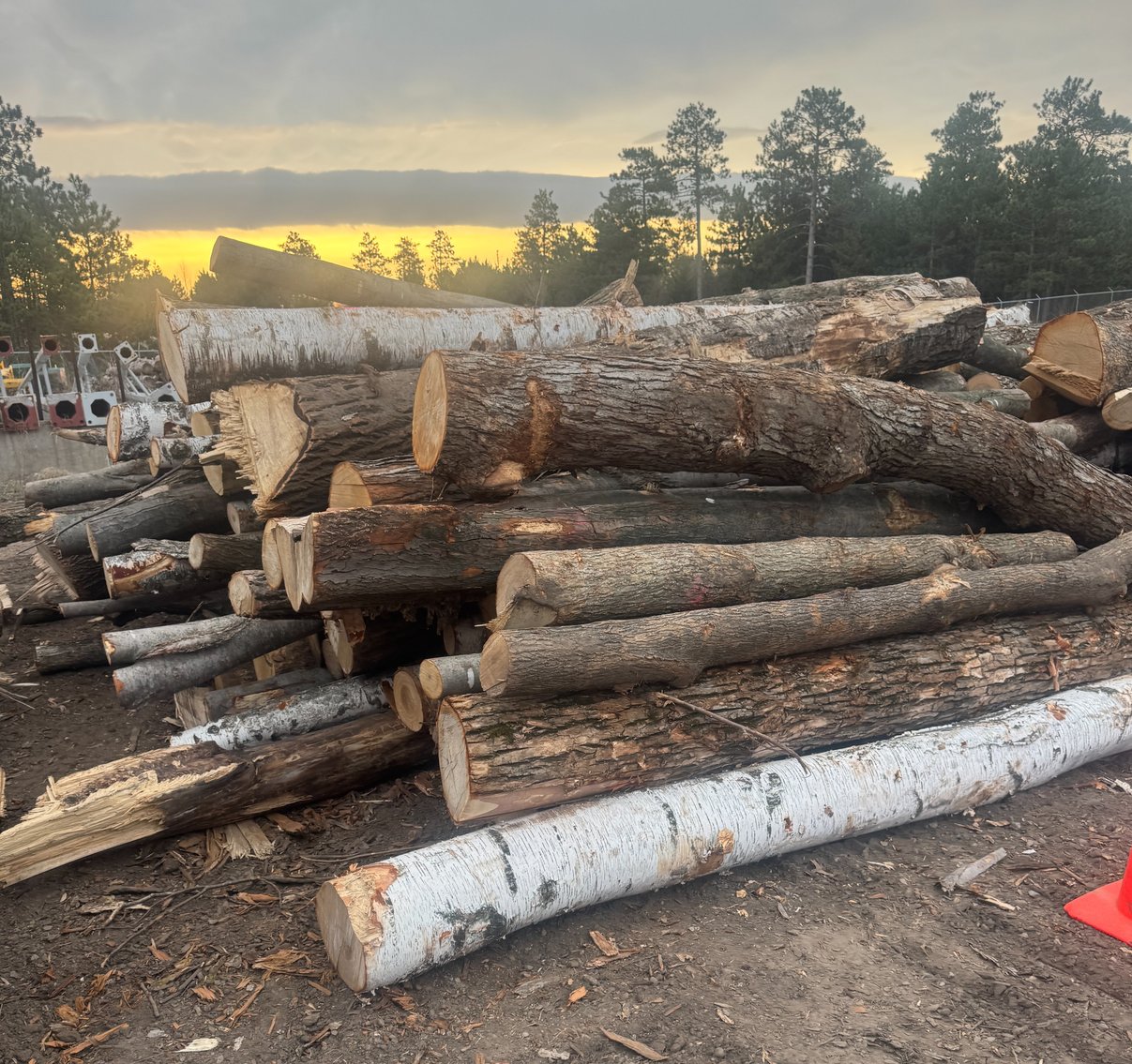 Fire Wood and Lumber Logs