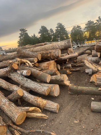 Image for Fire Wood and Lumber Logs (160824)