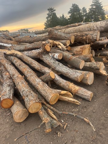 Image for Fire Wood and Lumber Logs