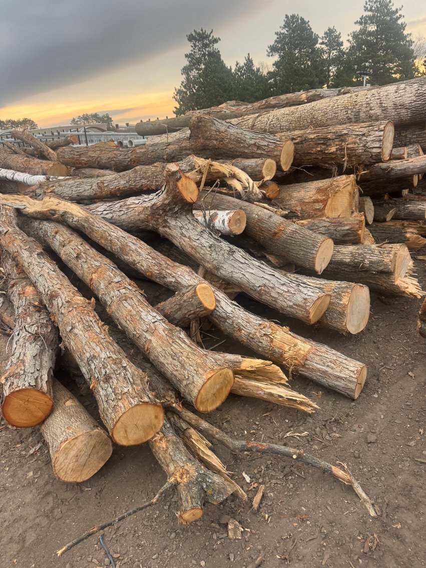 Fire Wood and Lumber Logs