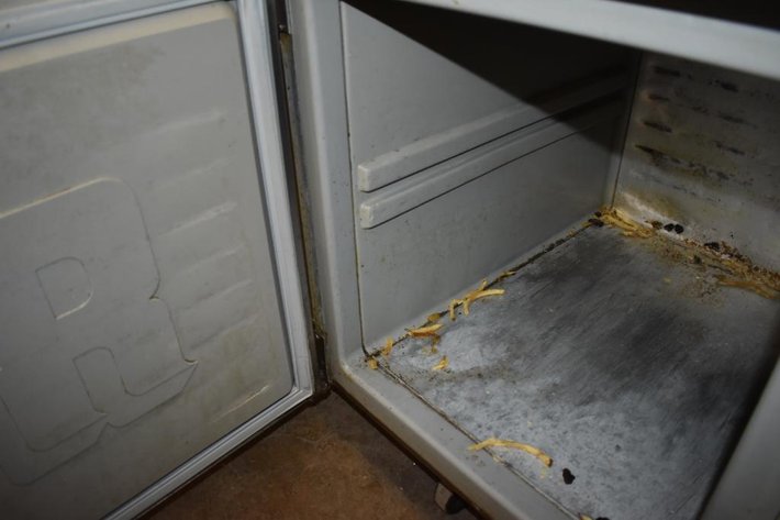 Image for Randell Two Door Freezer