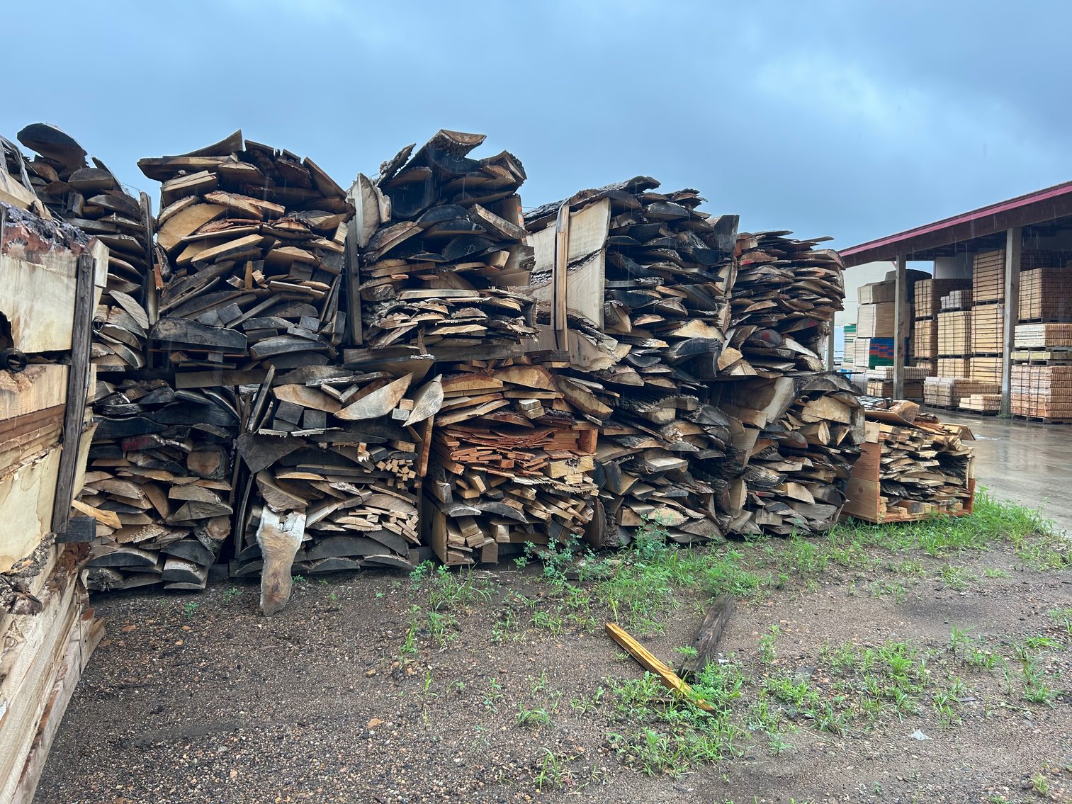 Bundle of Wood Slabs: Cottonwood & Mixed Hardwoods (144929)