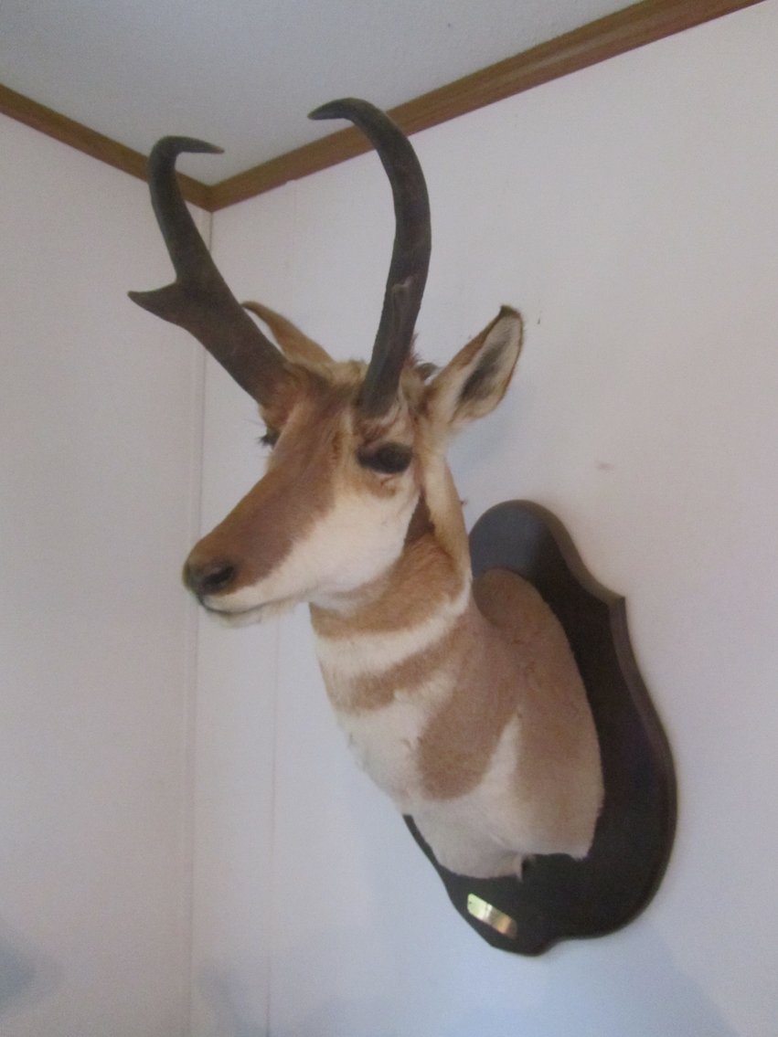 Bob Kimball Moving Auction, Pequot Lakes, MN (145767)