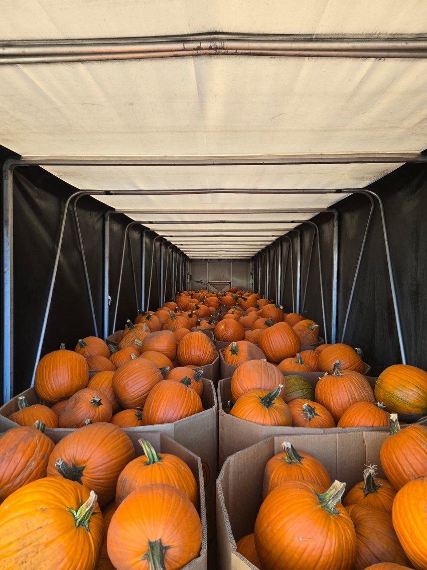 Pumpkin Harvest Auction: Bins & Semi Loads