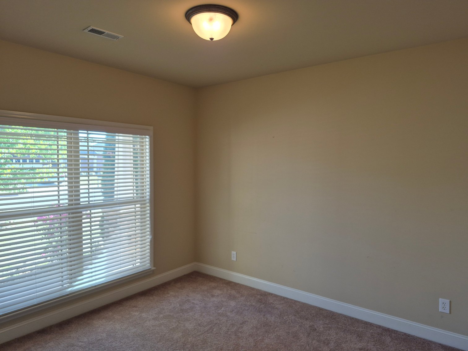 Image for The Estate of Lee Ann Hodges