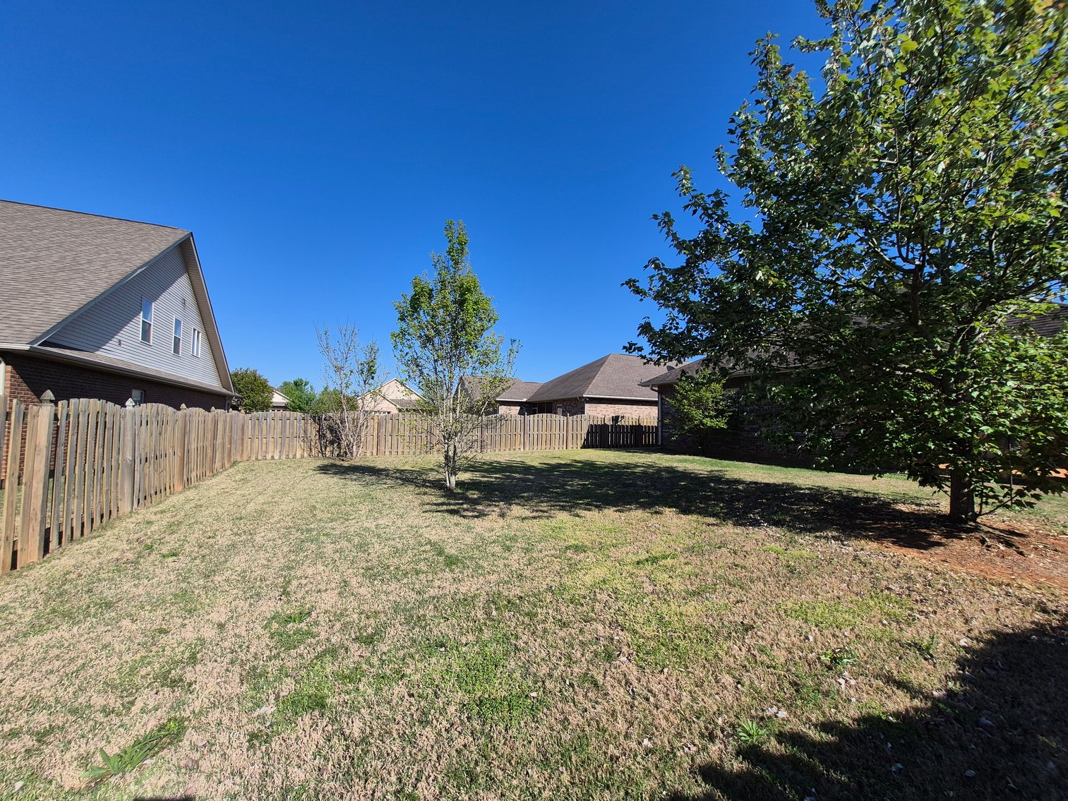 Image for The Estate of Lee Ann Hodges