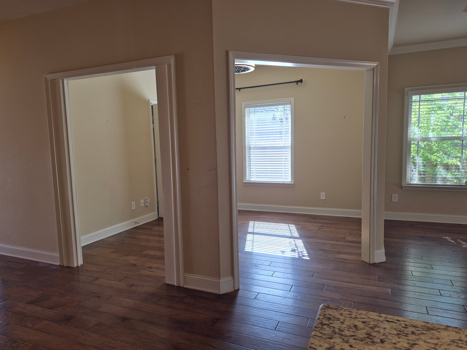 Image for The Estate of Lee Ann Hodges