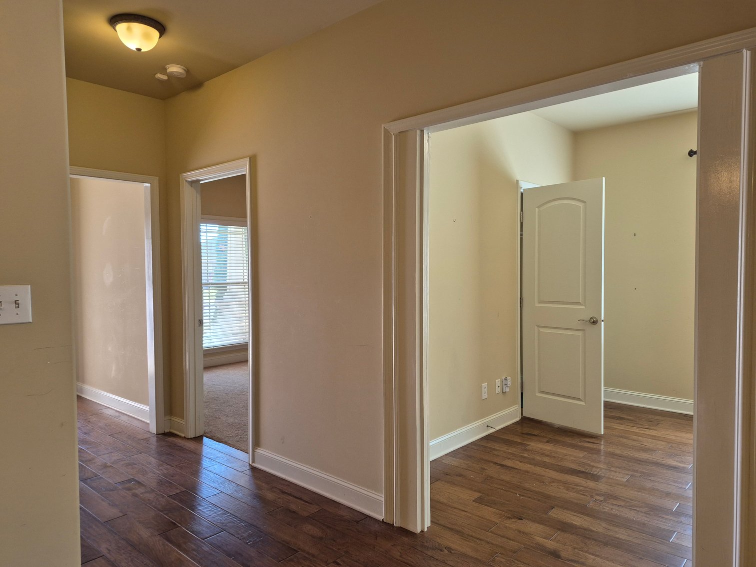 Image for The Estate of Lee Ann Hodges