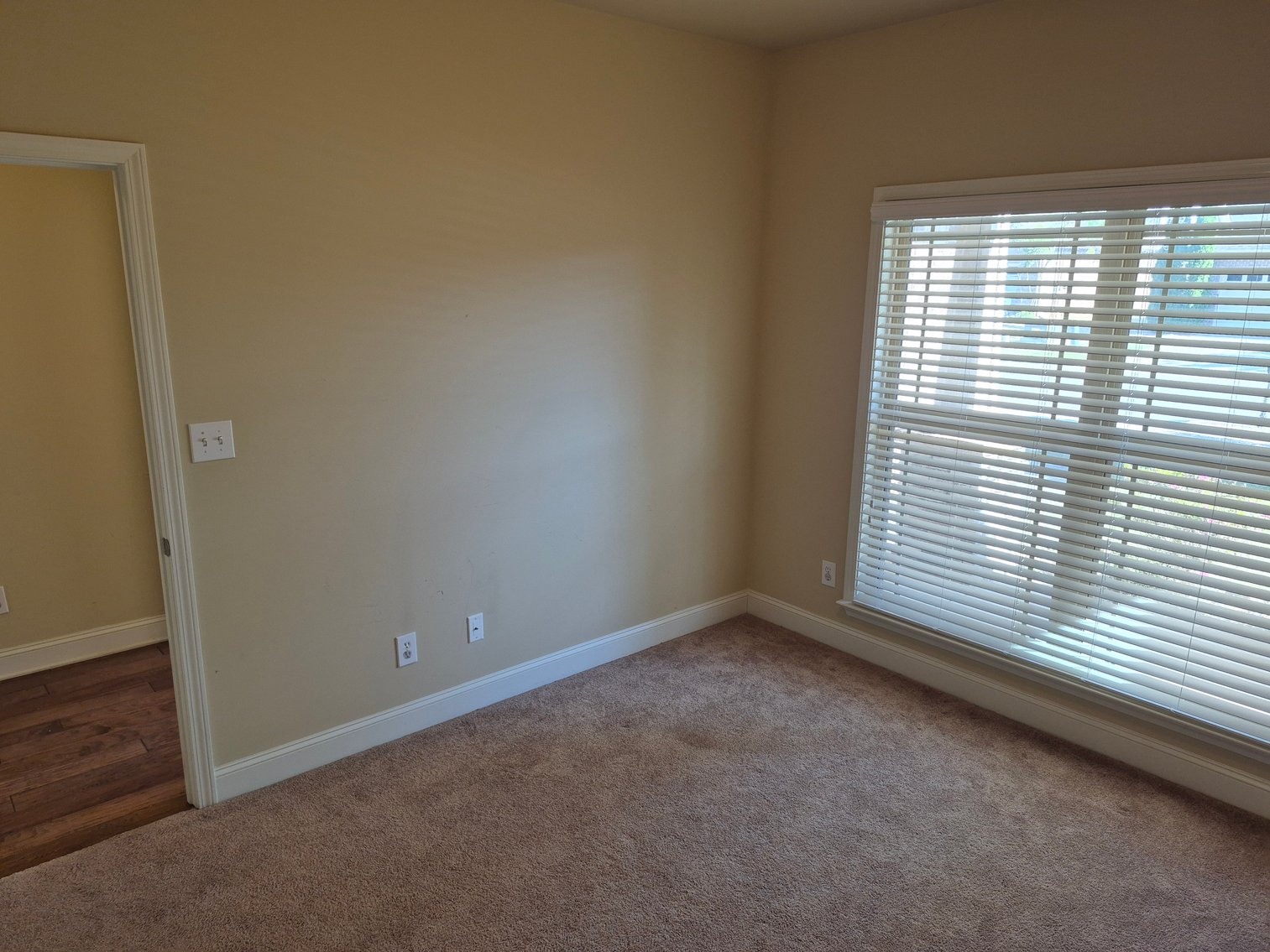 Image for The Estate of Lee Ann Hodges