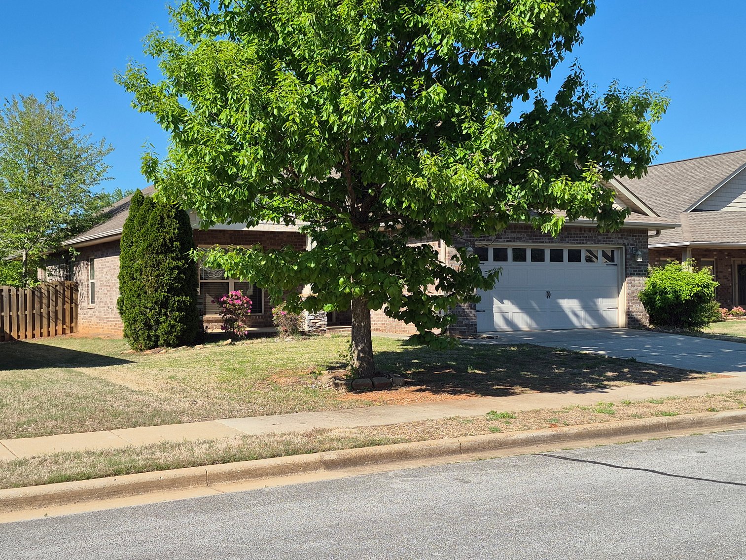 Image for The Estate of Lee Ann Hodges