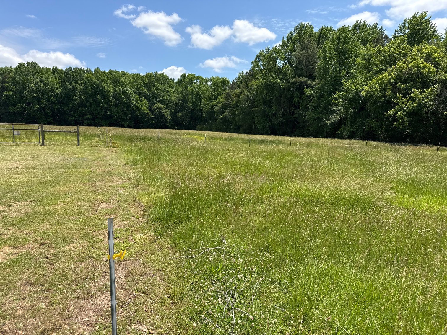 Image for House And 10+/- Ac. on Wells Rd. Athens