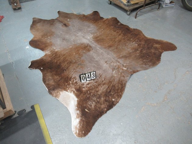 Image for Lot 43