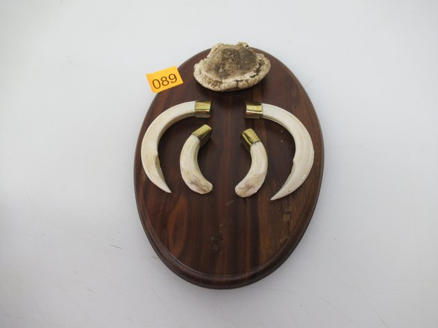 Image for Lot 89