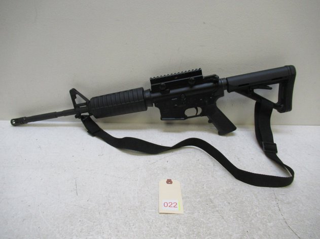 Image for Bushmaster XM15-E2S