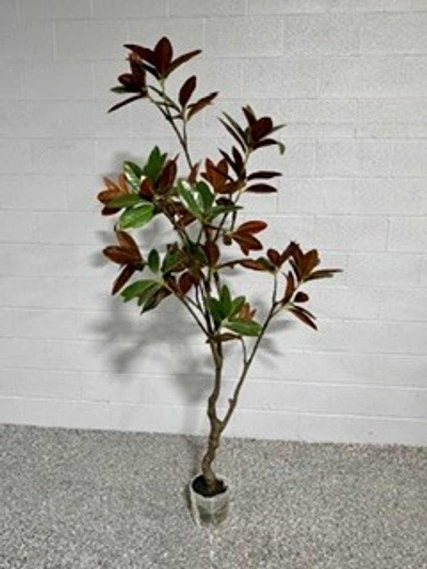 Image for Gail Nuss Estate