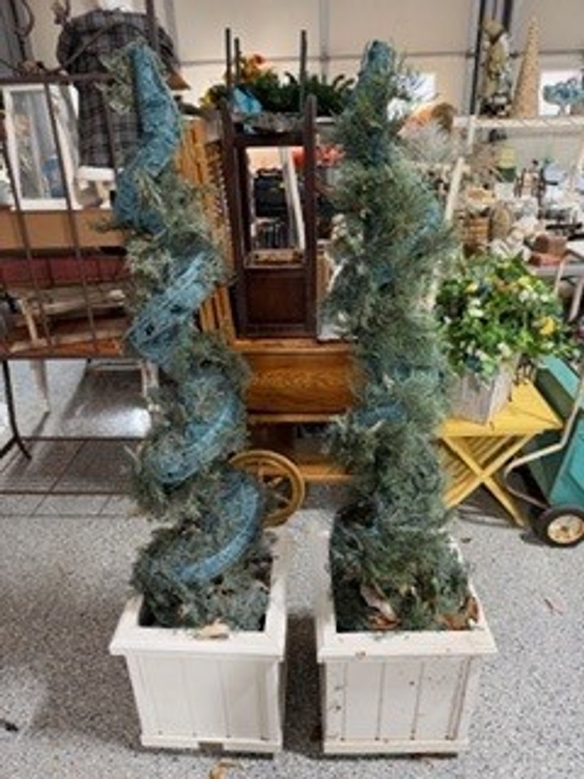 Image for Gail Nuss Estate