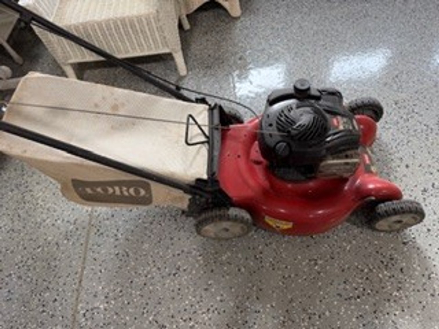 Image for Gail Nuss Estate