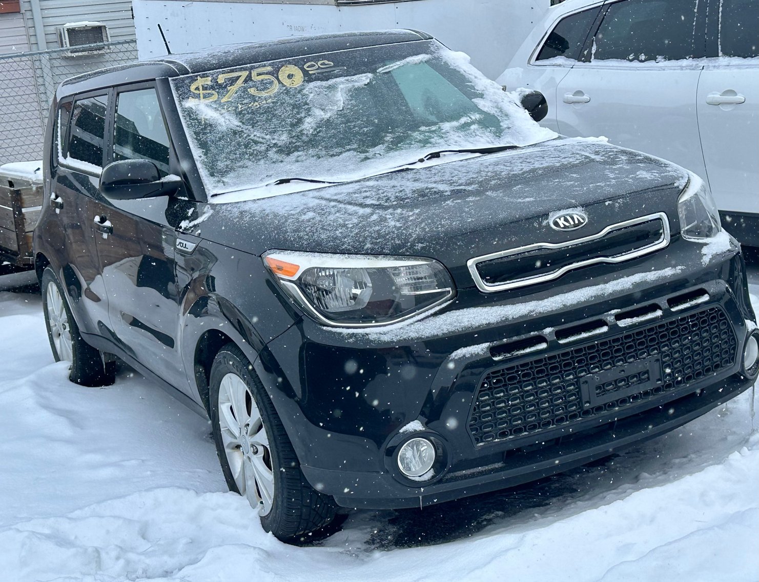 Image for January 13th, 2026 Auction