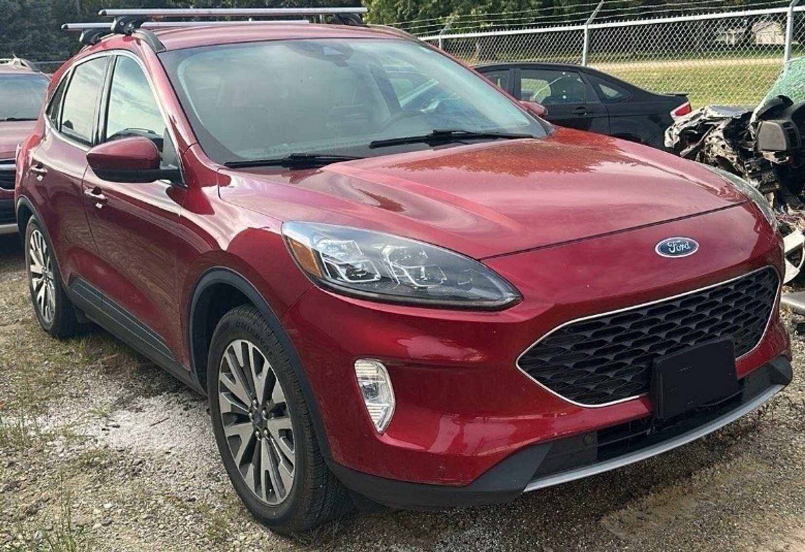 Image for January 13th, 2026 Auction