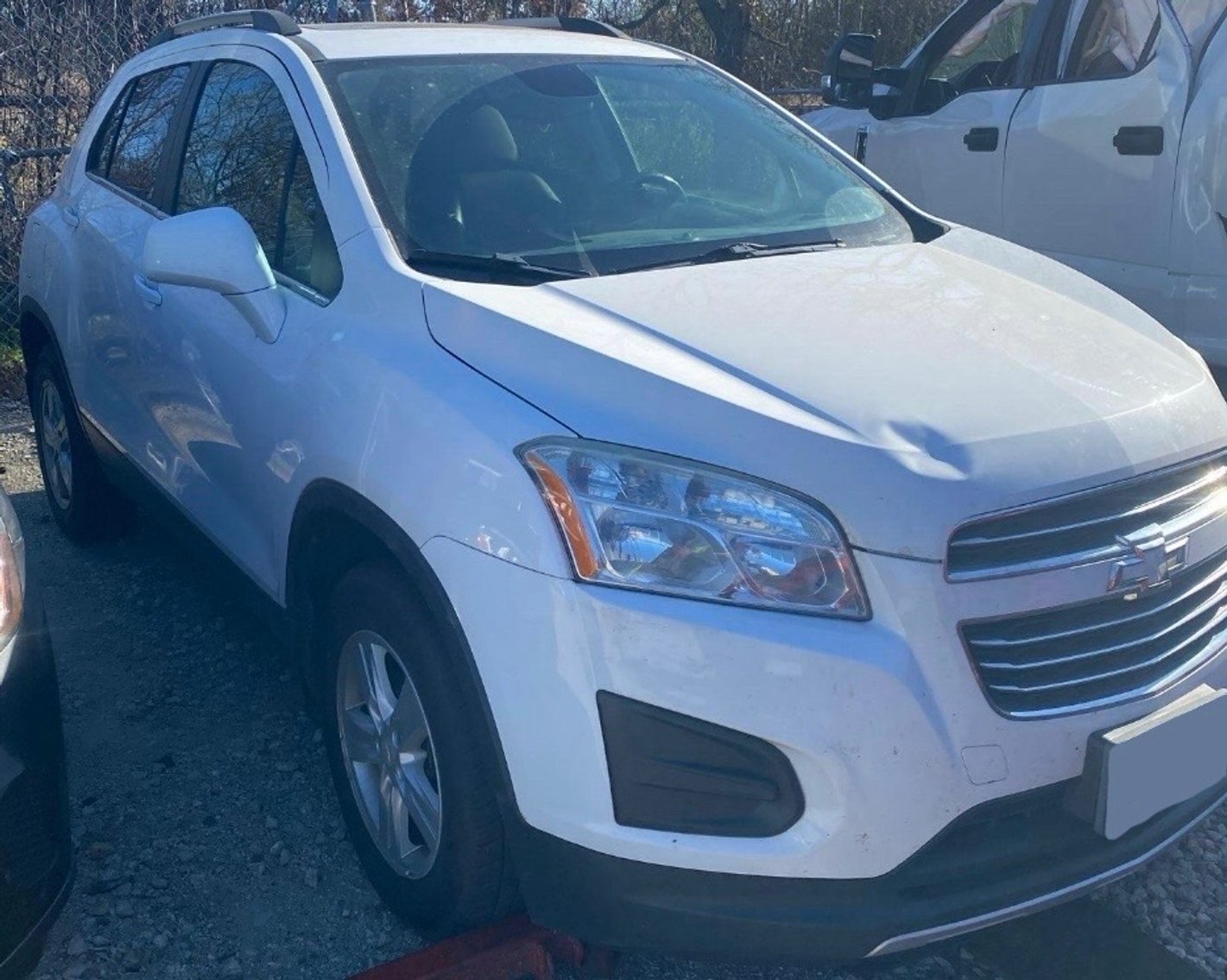 Image for February 10th, 2026 Auction