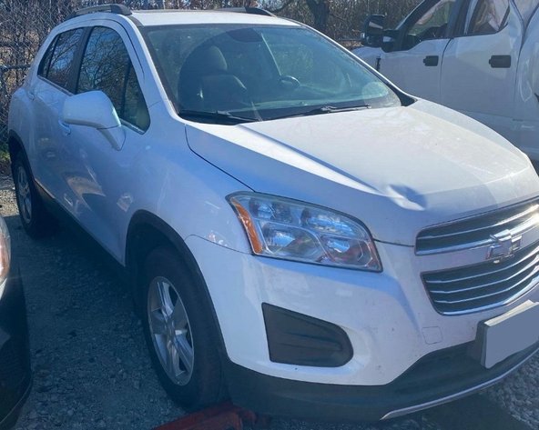 Image for February 10th, 2026 Auction