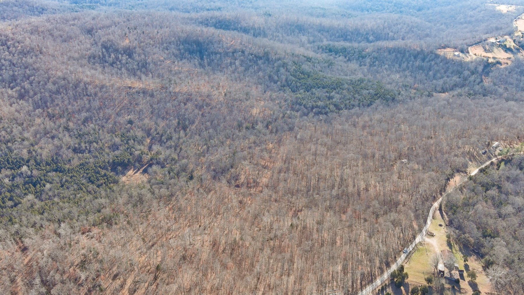 Image for Online Land Auction – 176.452± Acres – Payneville, KY